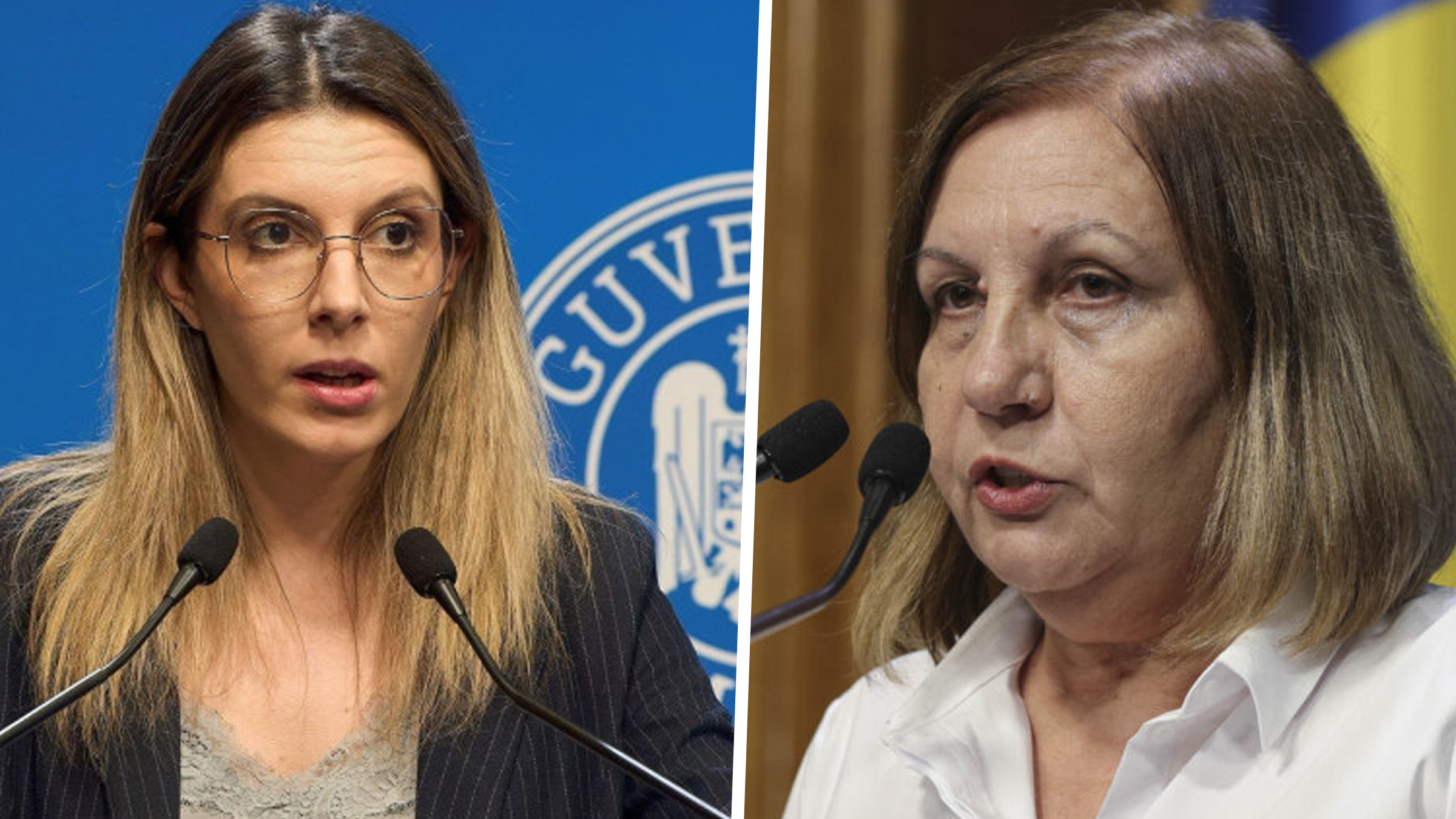 Conflict între Diana Buzoianu și Elena Mateescu privind achizițiile controversate de la ANM
