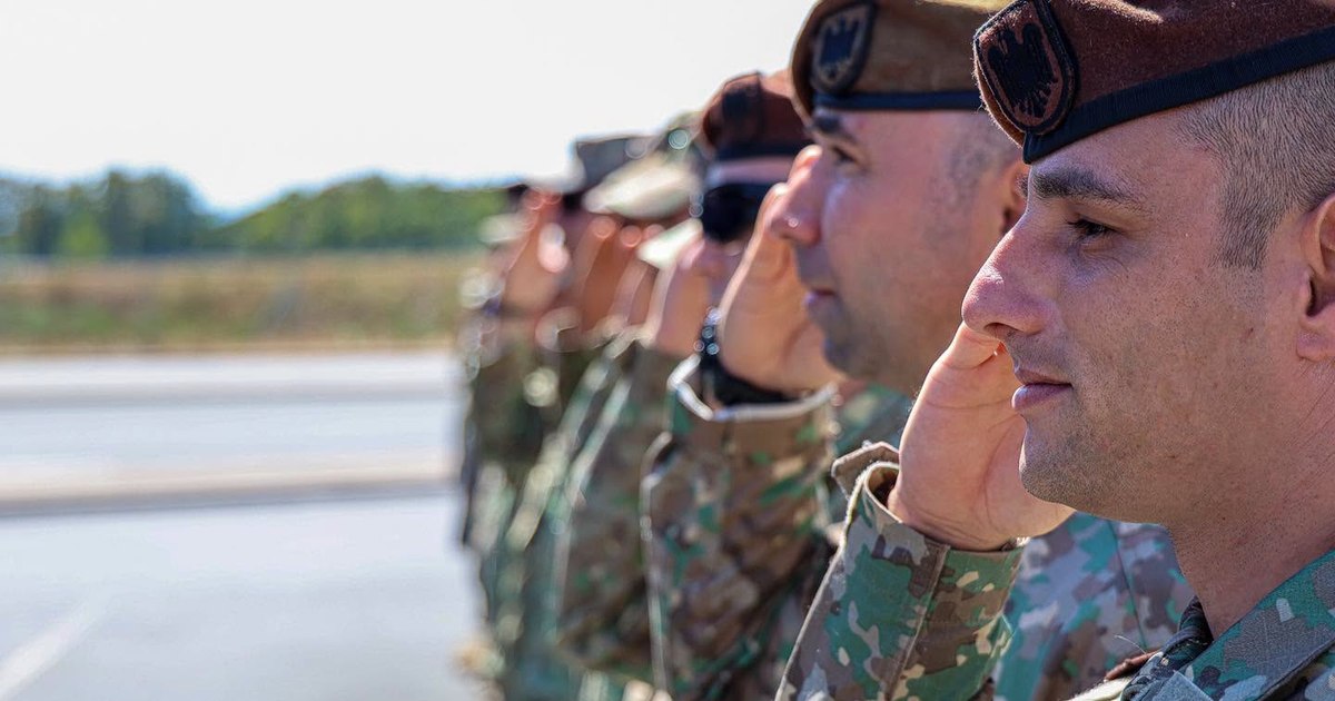Avertisment NATO: Îmbătrânirea rezervei militare ar putea forța reintroducerea stagiului militar obligatoriu