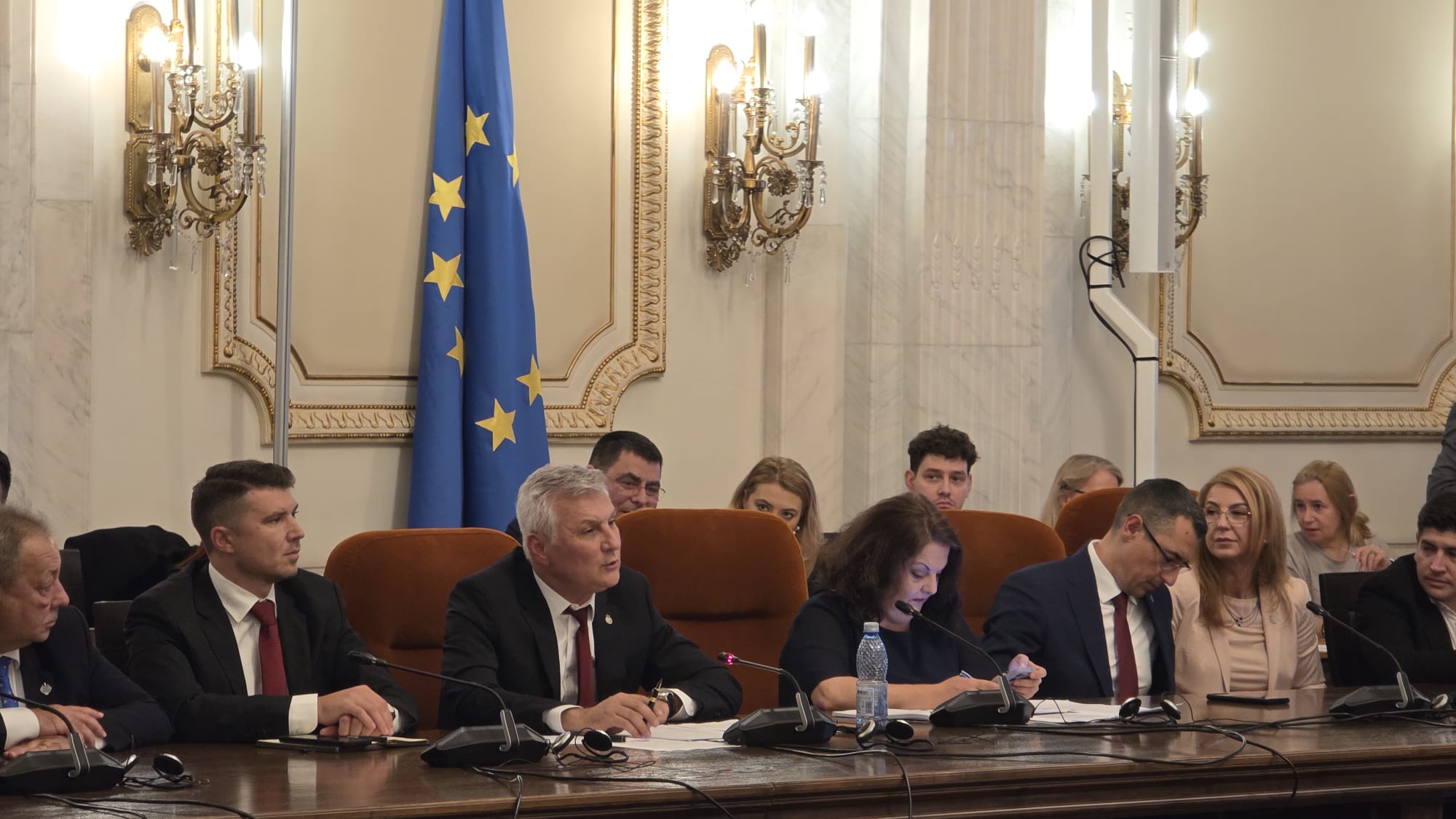 Daniel Zamfir propune transformarea României în furnizor de materii prime critice prelucrate