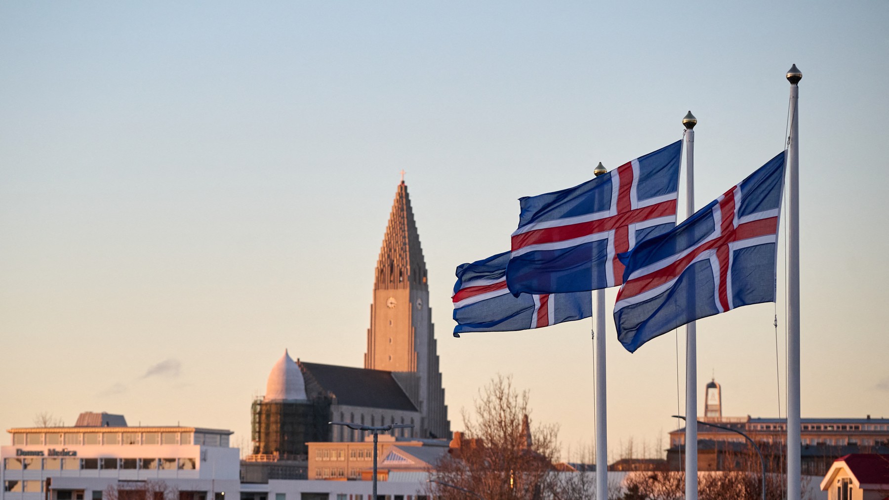Islanda pregătește interzicerea vânătorii de balene, lăsând Norvegia și Japonia singurele țări active