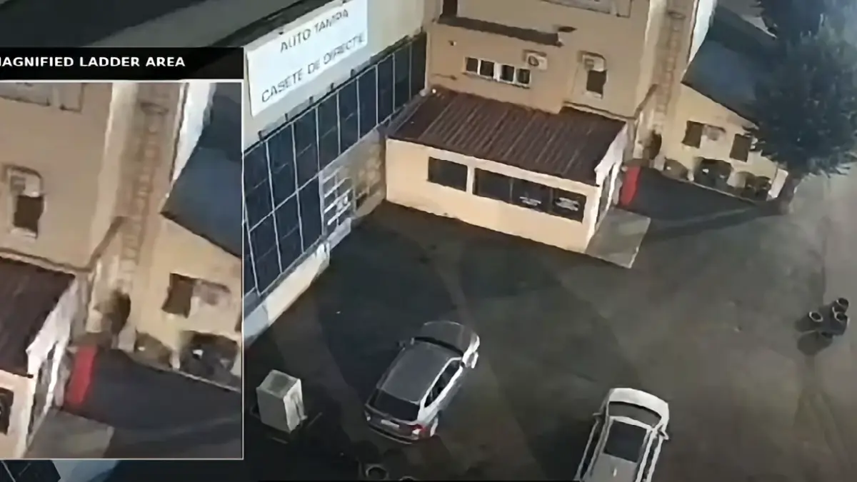 SRI identifică o rețea de sabotaj coordonată din Federația Rusă după incendiul de la Carfil