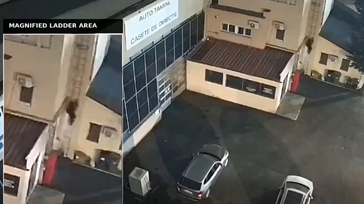 Rețea de sabotaj coordonată de Rusia este destructurată după incendiul de lângă fabrica CARFIL SA