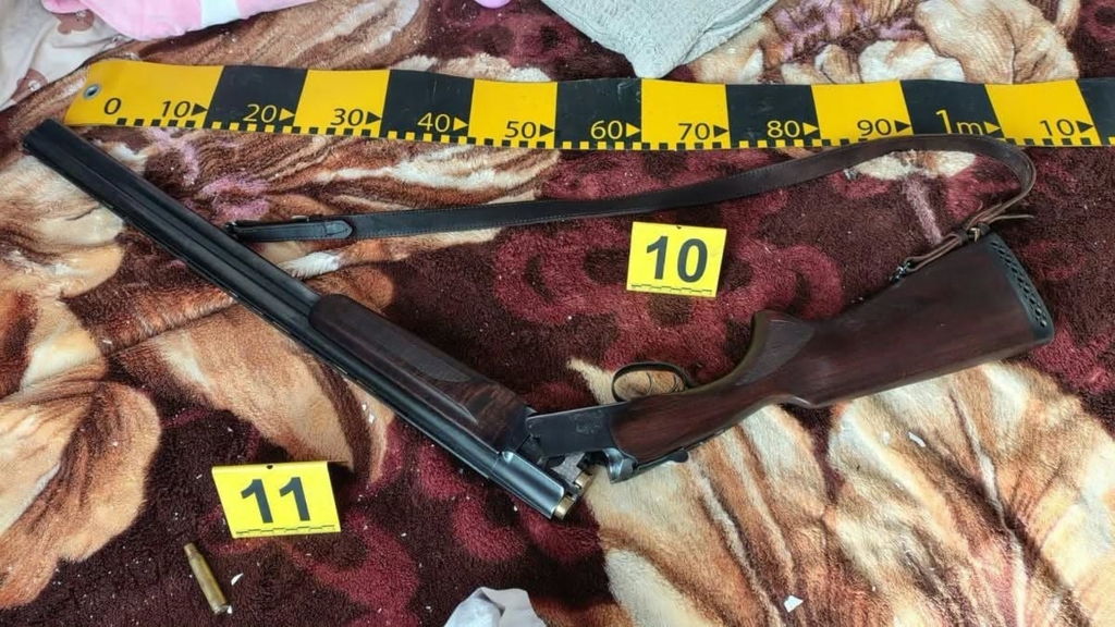 Europol critică întârzierea reținerii unui fost viceprimar care a tras cu arma asupra polițiștilor