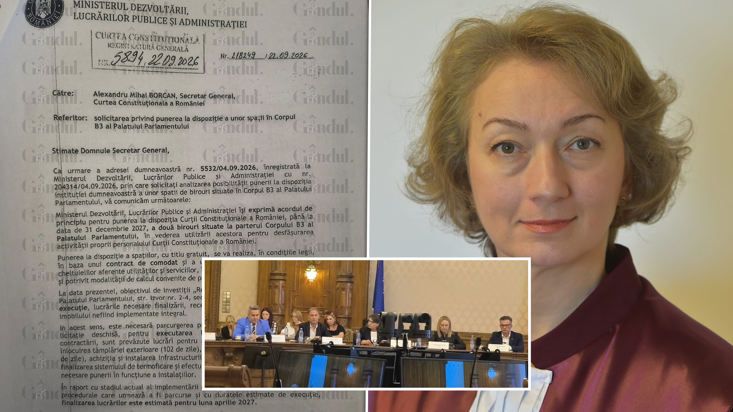 Simina Tănăsescu a răspuns comisiei senatului privind întâlnirea cu Ilie Bolojan