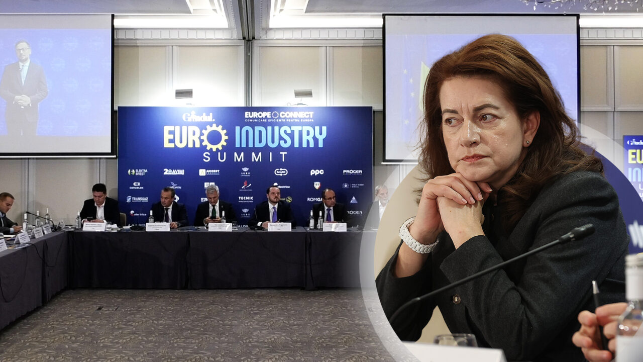 Parteneriatul public-privat este singura soluție pentru proiectele economice, susține Mihaela Frăsineanu
