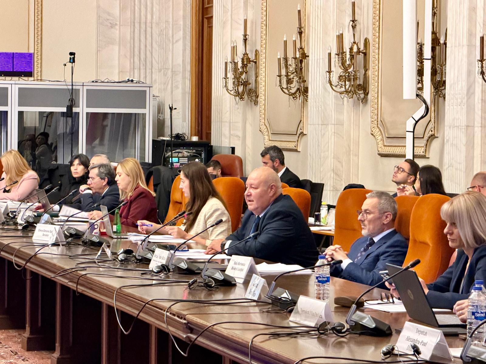 Proiectul Legii avocaturii va fi revizuit după dezbaterea de la Senat: UNBR clarifică competențele