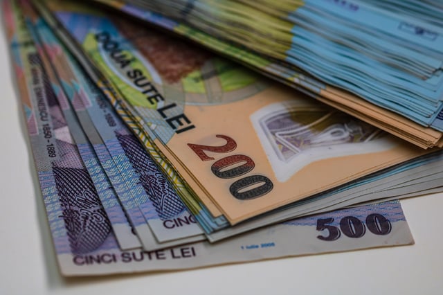 Guvernul reduce la 250.000 de lei bugetul pentru promovarea candidaturii României în Consiliul ITU