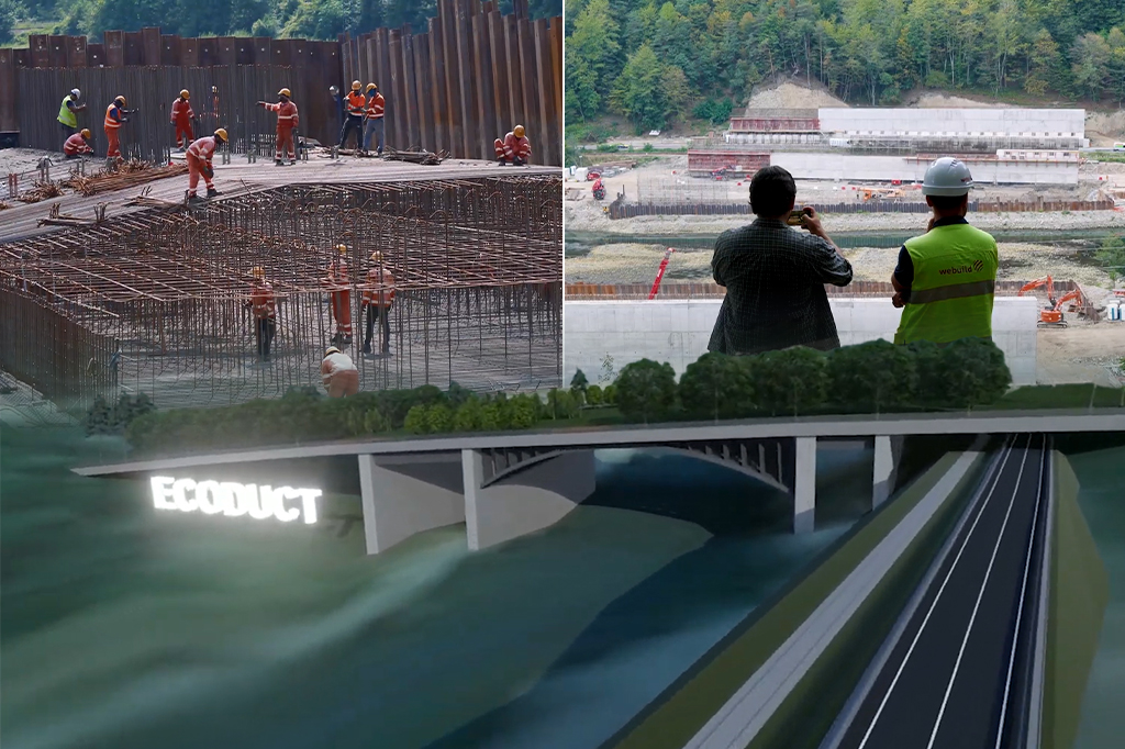 Ecoductul Călinești: cel mai lat pod din România dedicat faunei de pe autostrada Sibiu – Pitești