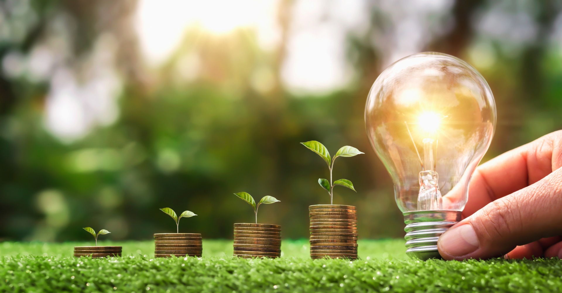 Entitățile publice pot accesa finanțări de până la 10 milioane de euro pentru energie regenerabilă