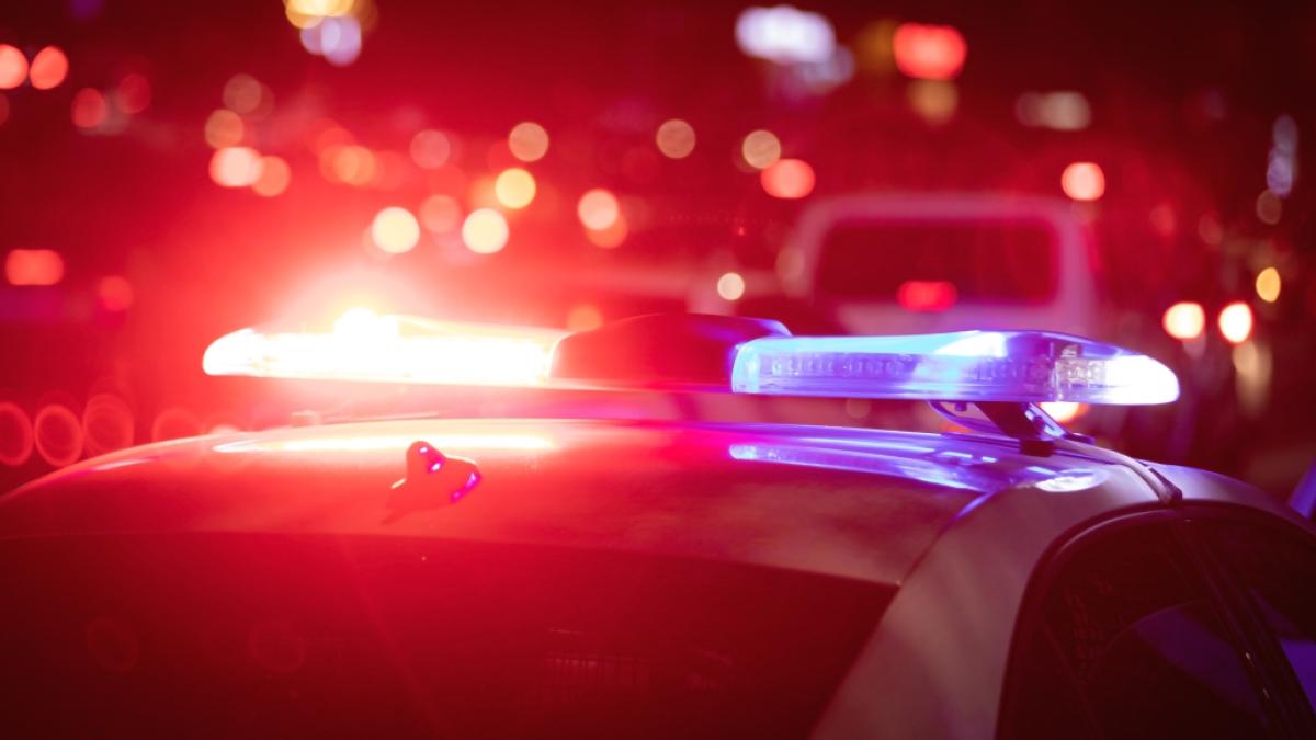 Sindicatul Național Meridian se opune reformei Poliției Locale și transferului de atribuții către MAI