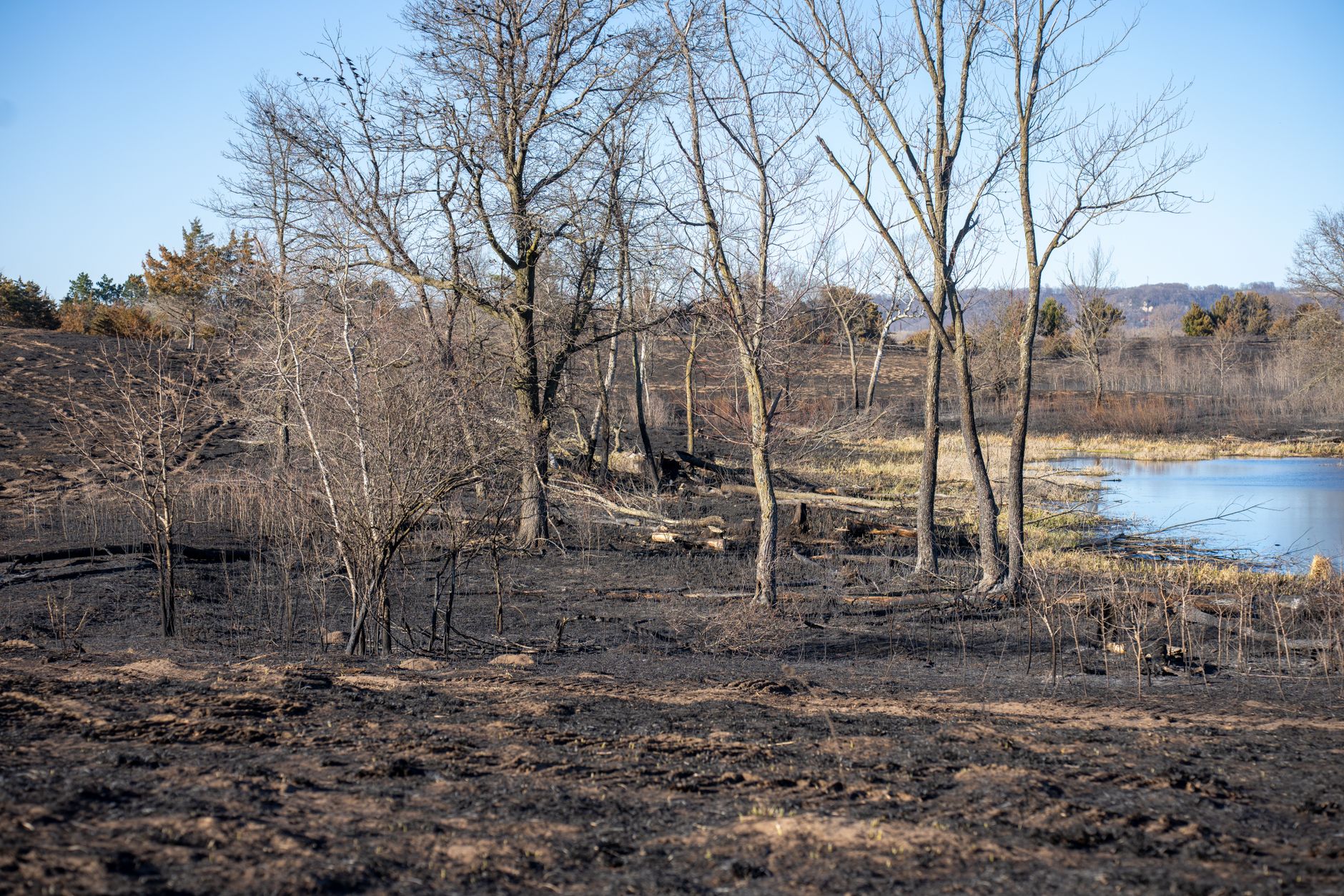 Fragmente ale unui obiect suspect au fost găsite în Insula Mare a Brăilei, după un incendiu pe un teren agricol
