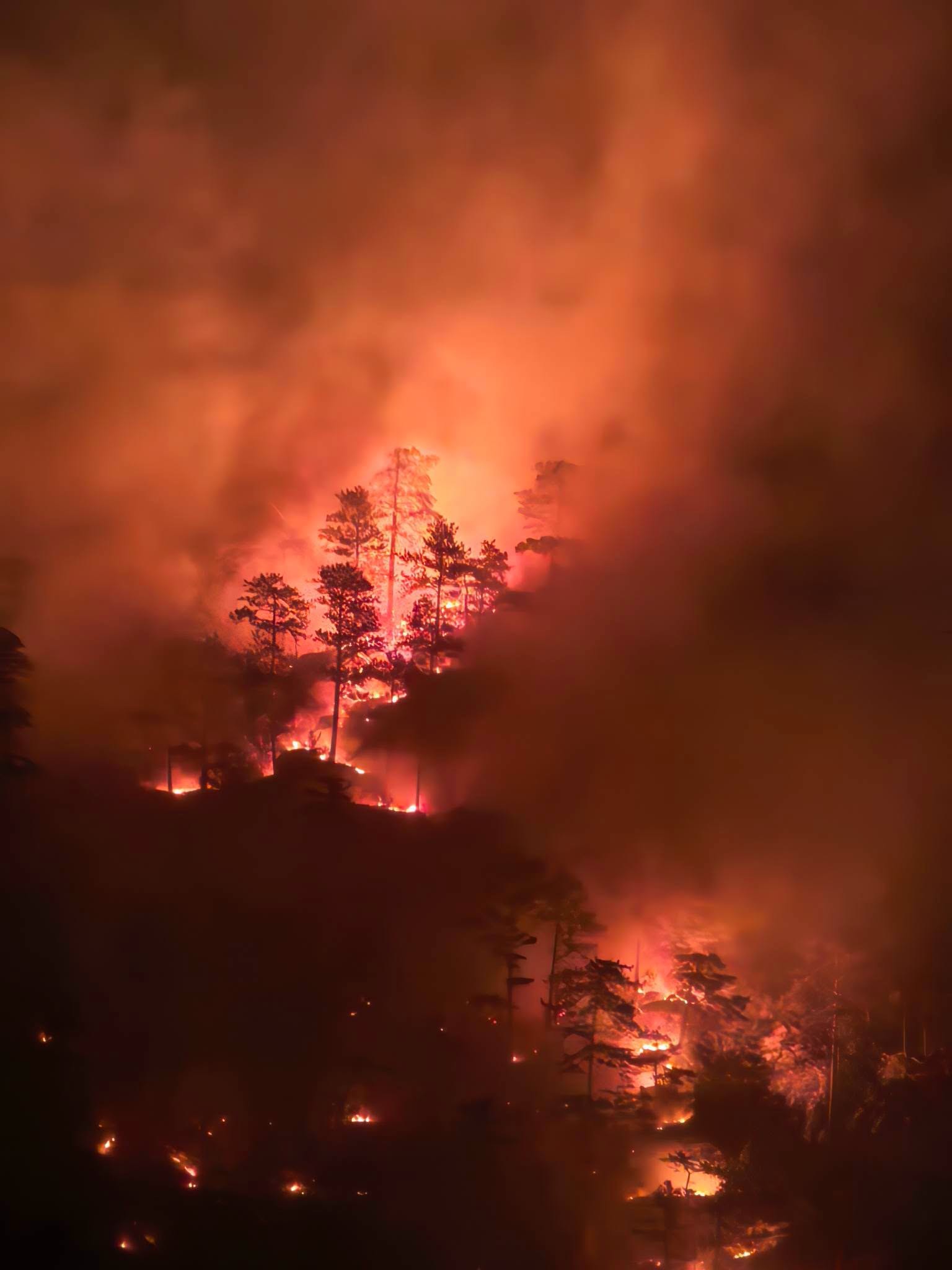 Incendiul din Parcul Național Domogled-Valea Cernei: 400 de hectare afectate și solicitări de intervenție a CSAT