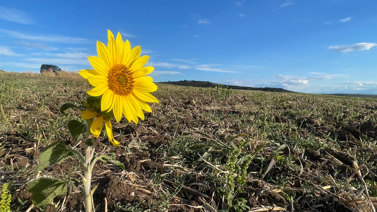 Dezinformare în agricultura Republicii Moldova: analiza falsurilor privind integrarea în Uniunea Europeană