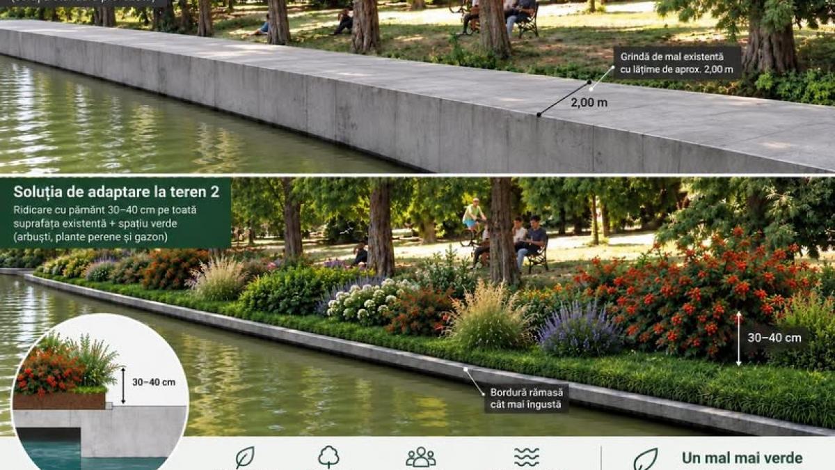 Primăria Capitalei modifică planul de lucrări pentru Herăstrău pentru a proteja arborii sănătoși