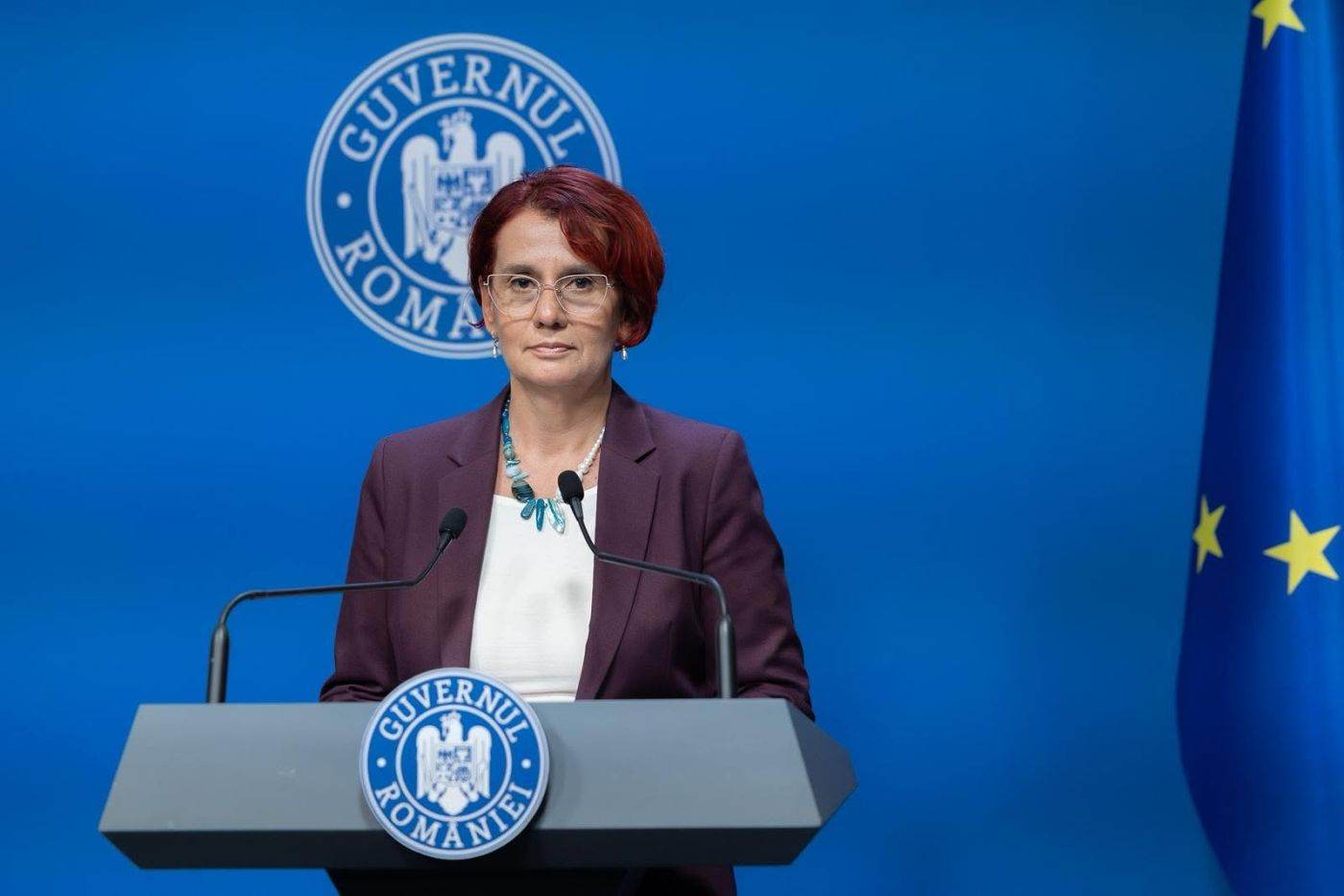Premierul interimar Ilie Bolojan a fost audiat ca martor de către DNA Iași în dosarul afaceristului Fănel Bogos