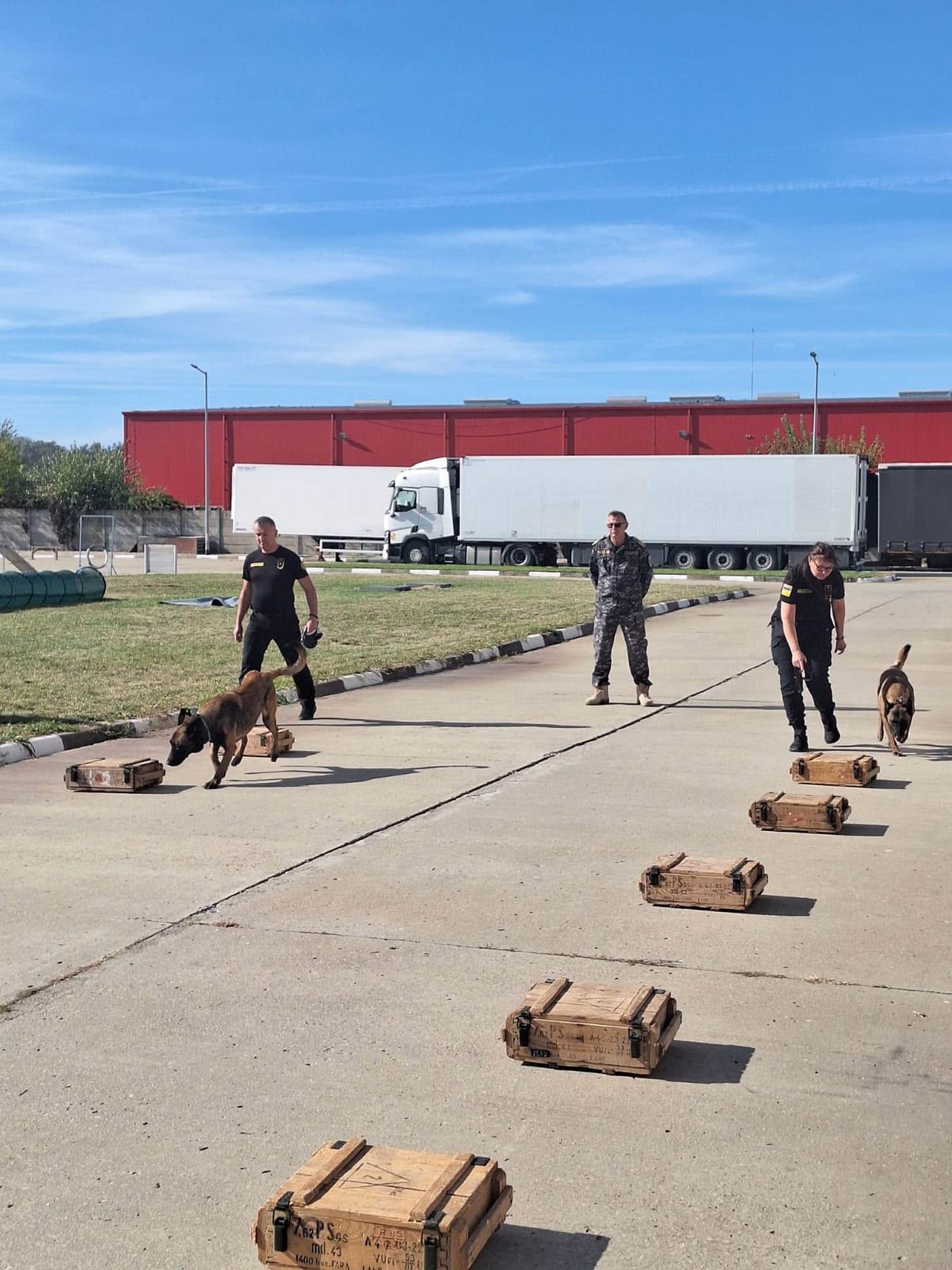 Echipe canine ucrainene au finalizat un stagiu de pregătire la Centrul de la Pantelimon