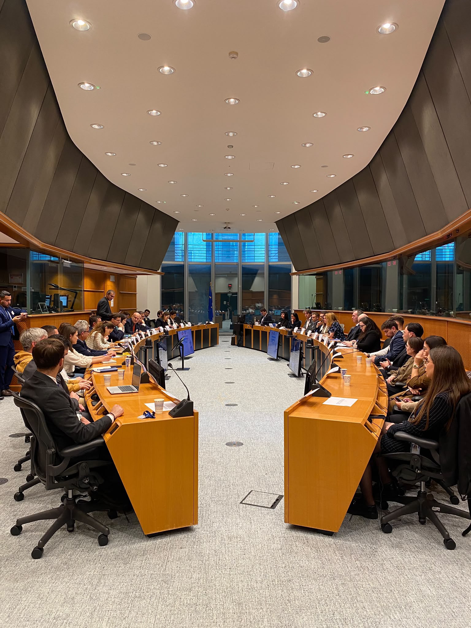 Dialog la Parlamentul European privind securitatea Mării Negre și consolidarea Flancului Estic