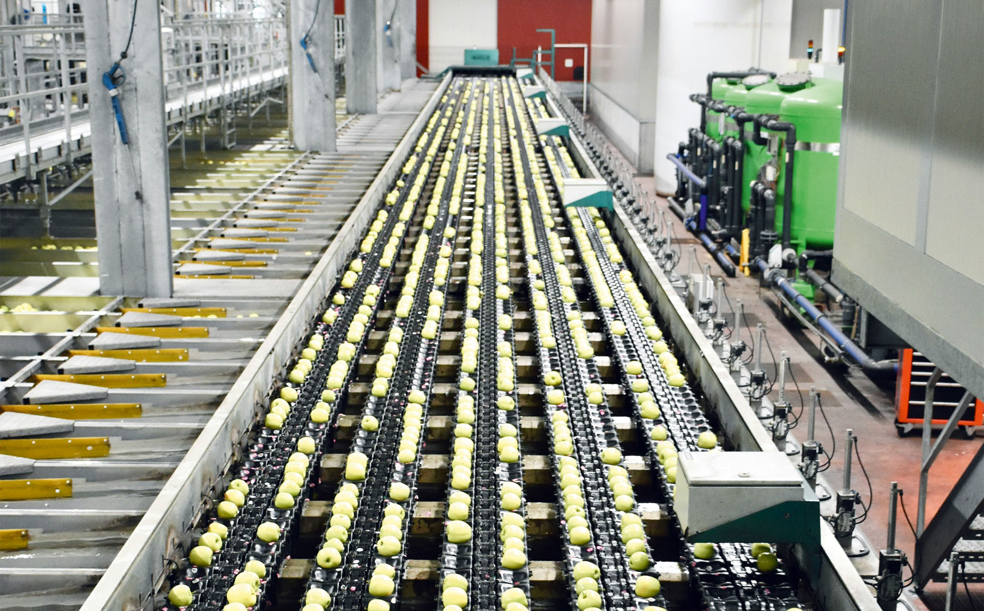 Proiectul România 2050: Propuneri pentru trecerea de la economia consumului la cea a producției