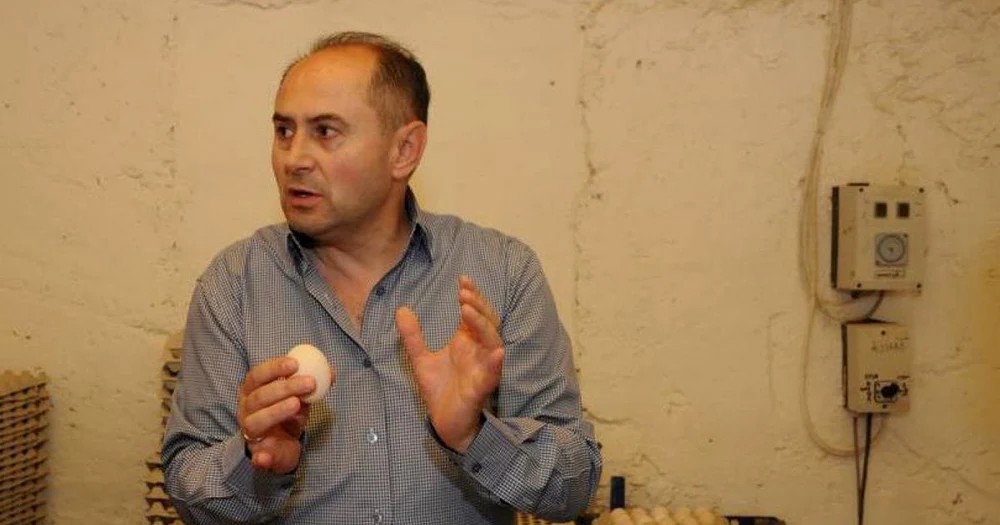 Dosarul „Rețeaua Bogos”: o stație de incubație din Vaslui ar fi generat 10 milioane de euro anual în bani negri