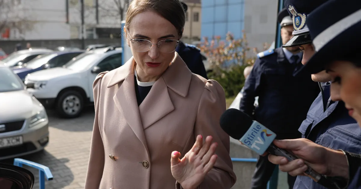 Veniturile Lia Savonea: detalii despre salariul de la Înalta Curte și indemnizația de la CSM