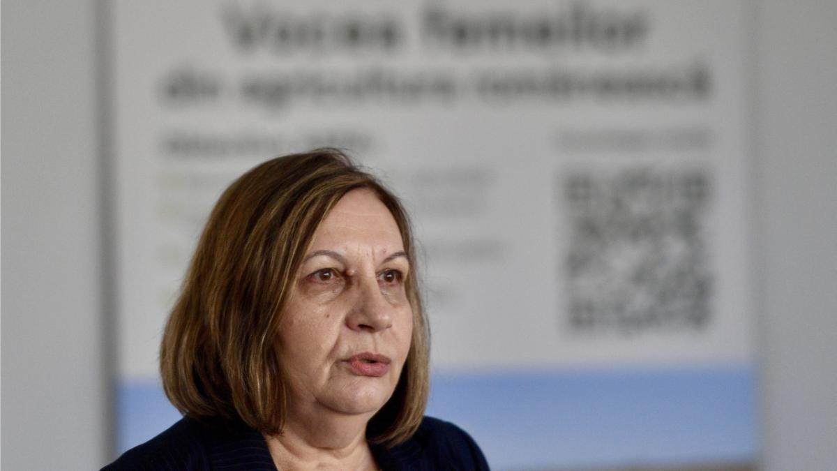 Elena Mateescu respinge acuzațiile ministrului Diana Buzoianu și susține că este vizată politic