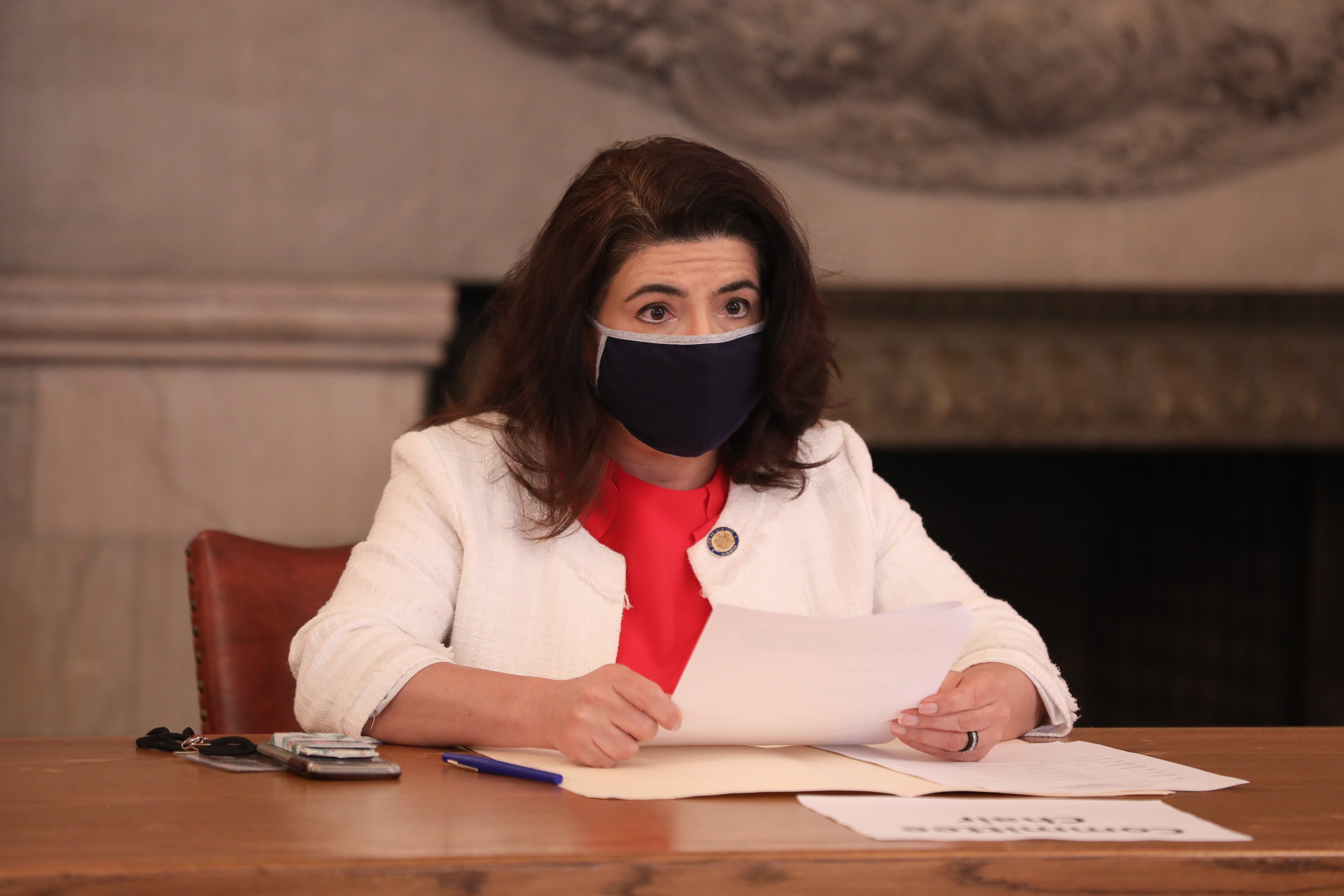 Comisia pentru constituționalitate a Senatului reînvită pe Ilie Bolojan și Simina Tănăsescu la audieri